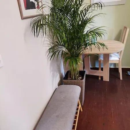 Santi Padri Corfu (city)